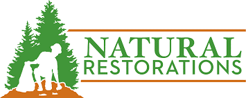 natural restorations